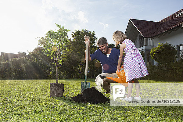 Vater und Tochter pflanzen Baum im Garten