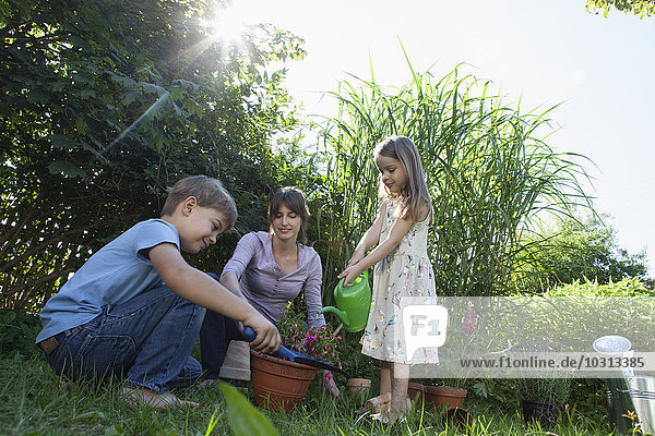 Mutter  Sohn und Tochter Gartenarbeit