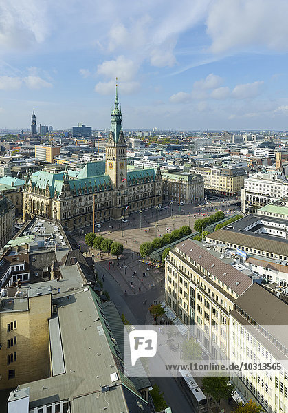 Germany  Hamburg  cityscape with city hall