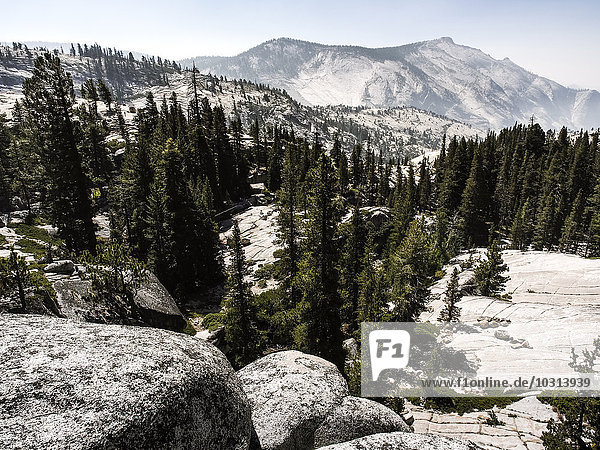 USA  Kalifornien  Yosemite Nationalpark  Berglandschaft