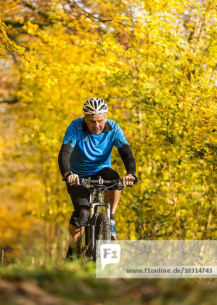 Deutschland  Baden-Württemberg  Senioren Mountainbike im Herbst