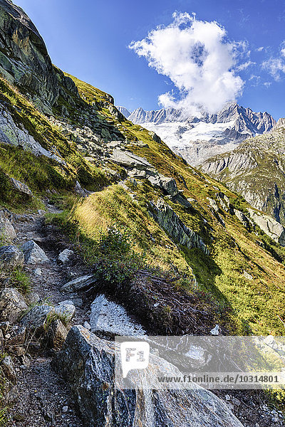 Switzerland  Canton of Uri  Goescheneralp  Moosstock with Dammastock glacier