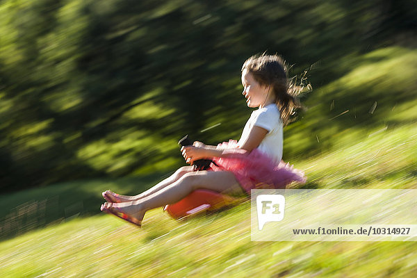 Little girl driving bobsleigh downhill on a meadow