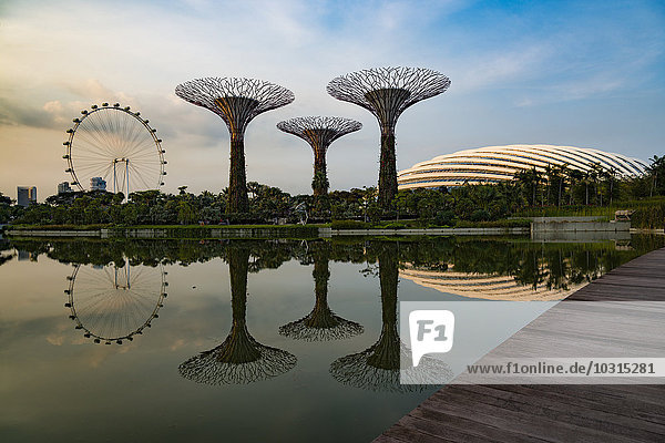 Singapur Gärten an der Bucht Supertree Grove