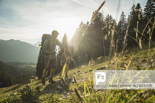 Austria  Tyrol  Tannheimer Tal  young couple hiking in sunlight on alpine meadow