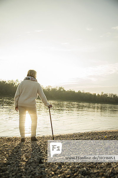 Seniorin mit Spazierstock am Wasser stehend  Sonnenuntergang beobachtend  Rückansicht