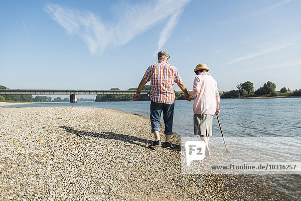 Deutschland  Ludwigshafen  Rückansicht des Seniorenpaares  das Hand in Hand am Flussufer läuft