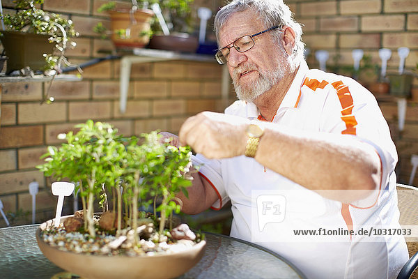 Senior man caring for plant