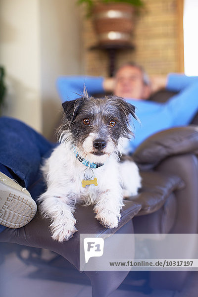 Mann mit Hund entspannt zu Hause