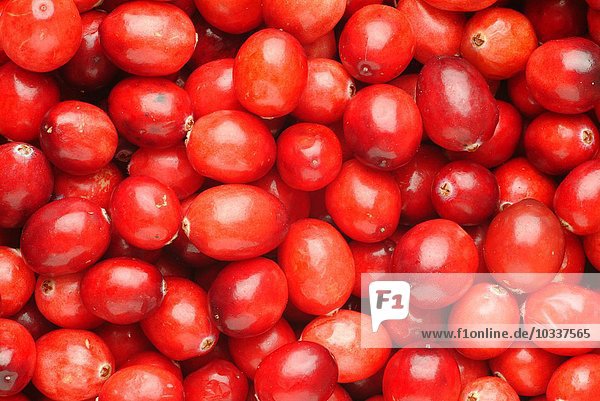 Die Cranberry ist eine Frucht der amerikanischen Ureinwohner von Feuchtgebieten  die wie eine Erdbeere an Ranken wächst. Die Reben gedeihen auf der besonderen Kombination von Boden- und Wassereigenschaften  die in Feuchtgebieten zu finden sind. Feuchtgebiete sind die Schwämme der Natur