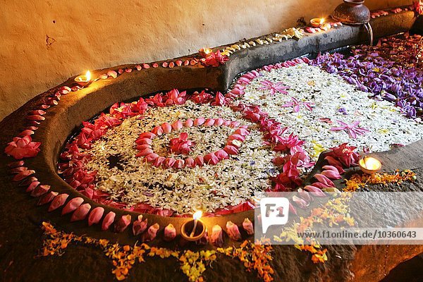 LKA  Sri Lanka : Siddhalepa Ayurveda Resort  ayurvedisches Blütenbad  zur Entspannung. Bei Verwendung des Fotos ausserhalb journalistischer Zwecke bitte Ruecksprache mit dem Fotografen! Kein Modelrelease !