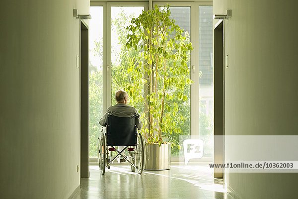 Rückansicht eines älteren Mannes im Rollstuhl