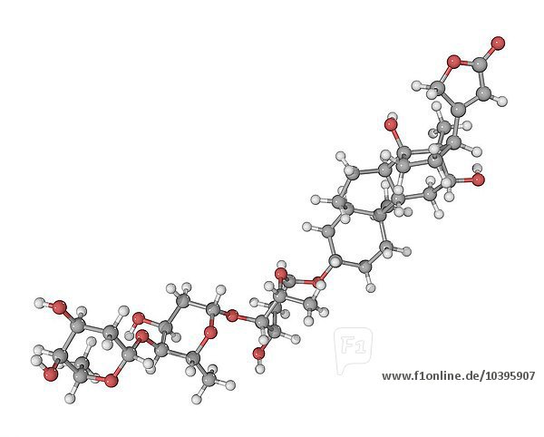 Molekül des Herzmedikaments Digoxin