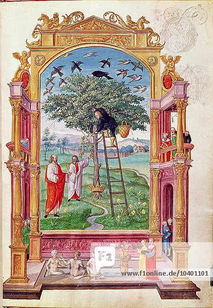 Harl 3469 f.15 Mann auf einer Leiter klettert auf einen Baum