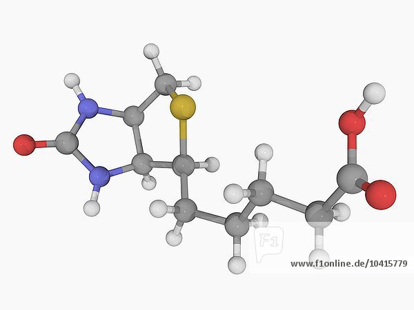 Vitamin B7 Biotin-Molekül