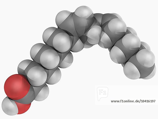 Linolsäure-Molekül
