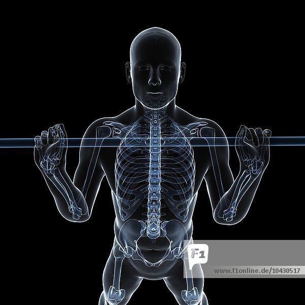 Gewichtheber. Computergrafik eines Gewichthebers mit hervorgehobenem Skelett.
