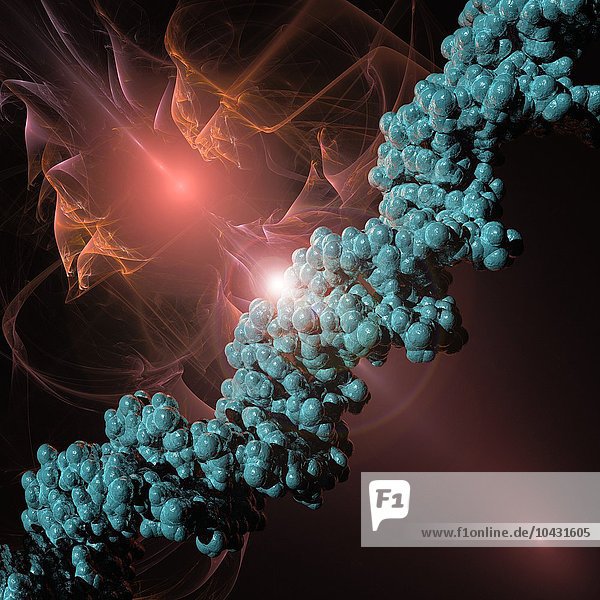 DNA-Molekül. Molekulares Modell der DNA (Desoxyribonukleinsäure).