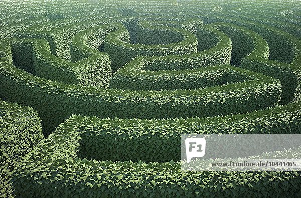 Draufsicht auf ein Gartenlabyrinth  Heckenlabyrinth  Kunstwerk