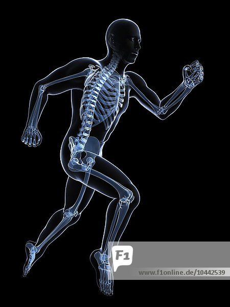 Running skeleton  computer artwork. Running skeleton  artwork
