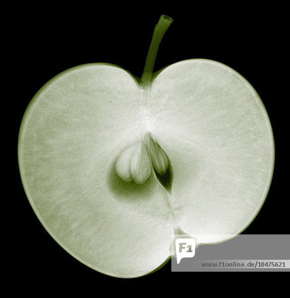 Apfelhälfte (^IMalus sp.^i). Röntgenbild eines in zwei Hälften geschnittenen Apfels. In der Mitte befinden sich die Kerne (Samen) der Frucht. Äpfel sind eine gute Quelle für Vitamine  Mineralien und Ballaststoffe. Apfelhälfte  Röntgenbild