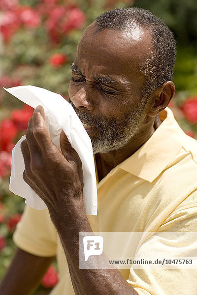 MODELL FREIGEGEBEN. Heuschnupfen. Ein Mann niest in ein Taschentuch. Er leidet an einer allergischen Reaktion auf Pollen in der Luft  einer Allergie  die als Heuschnupfen bekannt ist. Die Pollen wurden von Blumen freigesetzt (einige sind im Hintergrund zu sehen). Durch die allergische Reaktion entzünden sich die Schleimhäute von Augen und Nase  was zu tränenden Augen und Niesen führt. Heuschnupfen