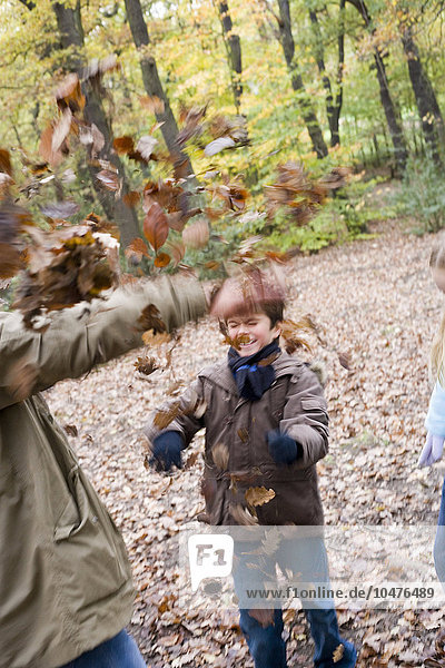 MODEL RELEASED. Playing with autumn leaves. Father and son playing with leaves in a wood in autumn. Father and son playing in a wood