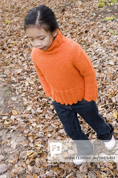 MODEL RELEASED. Girl walking in a wood in autumn. Girl walking in a wood