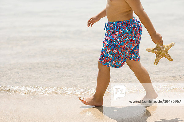 MODEL RELEASED. Holiday. Young boy walking along a beach holding a starfish. Holiday