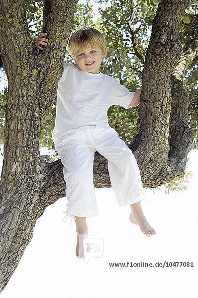 MODELL FREIGEGEBEN. Junge sitzt auf einem Baum  den er erklommen hat Junge sitzt auf einem Baum