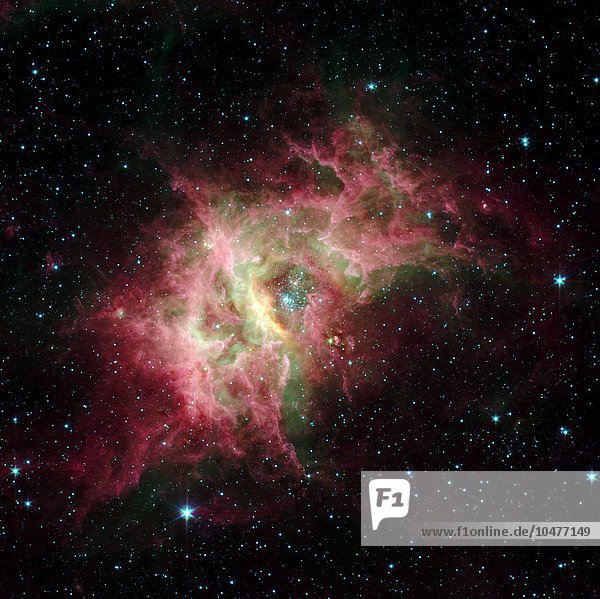Sterngeburtsregion RCW 49  Infrarotbild des Spitzer-Weltraumteleskops (SST). Die Infrarot-Aufnahmen des SST lassen Staubwolken hinter sich und zeigen neugeborene Sterne in aktiven Nebeln. Diese Sterne (blau) sind über den gesamten Nebel verstreut  wobei in der Mitte ein dichter Haufen zu erkennen ist. Das Gas (grün) und der Staub (rosa) des Nebels werden durch die Strahlung der jungen Sterne nach außen geblasen. RCW 49 enthält mehr als 2200 Sterne  und bei SST-Beobachtungen wurden mehr als 300 noch nie zuvor gesehene Sterne entdeckt. RCW 49 ist 13.700 Lichtjahre von der Erde entfernt und befindet sich im Sternbild Centaurus. Bild aus dem Jahr 2003  Region der Sterngeburt