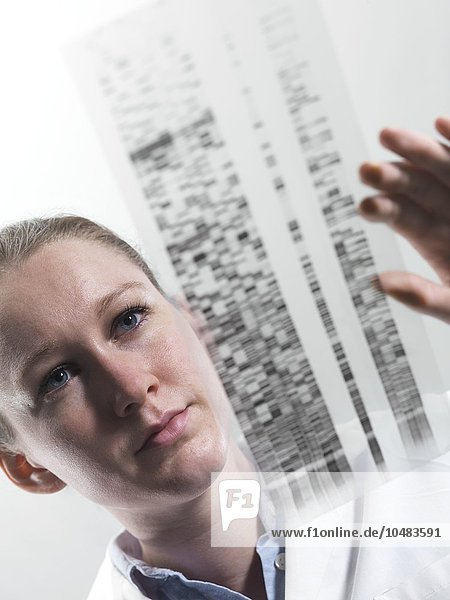 MODELL FREIGEGEBEN. Genetische Forschung. Wissenschaftler mit einem DNA (Desoxyribonukleinsäure)-Autoradiogramm Genetikforschung