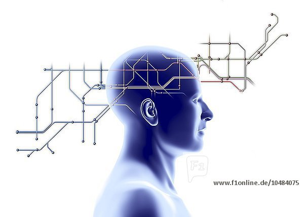 Netzwerk. Konzeptuelle Computergrafik  die ein Netzwerkdiagramm und einen menschlichen Kopf zeigt  Netzwerkdiagramm und Kopf