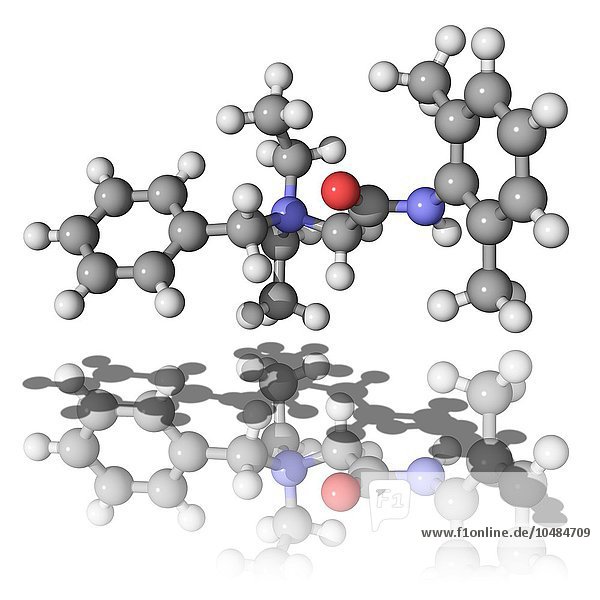 Denatonium  molekulares Modell. Dies ist die bitterste Verbindung  die dem Menschen bekannt ist. Sie wird vielen schädlichen Flüssigkeiten zugesetzt  um deren Verschlucken zu verhindern. Die Atome sind als Kugeln dargestellt und farblich gekennzeichnet: Kohlenstoff (grau)  Wasserstoff (weiß)  Sauerstoff (rot) und Stickstoff (blau). Denatonium-Molekül