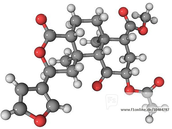 Salvinorin A Droge  molekulares Modell. Dies ist die stärkste natürlich vorkommende psychoaktive Verbindung  die bekannt ist. Sie ist in den Blättern des Wünschelrutenbaums (Salvia divinorum) enthalten. Die Atome sind als Kugeln dargestellt und farblich kodiert: Kohlenstoff (grau)  Wasserstoff (weiß) und Sauerstoff (rot). Molekül der Droge Salvinorin A