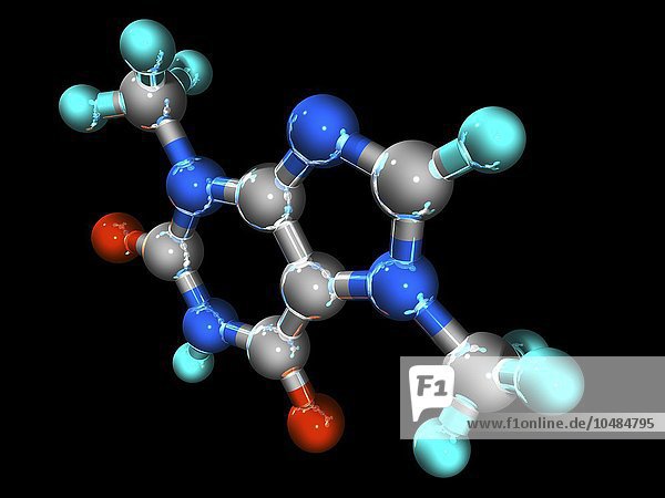 Theobromin  molekulares Modell. Dieses bittere Alkaloid ist in der Kakaobohne enthalten. Die Atome sind als Kugeln dargestellt und farblich codiert: Kohlenstoff (grau)  Wasserstoff (hellblau)  Stickstoff (dunkelblau) und Sauerstoff (rot). Theobromin-Molekül