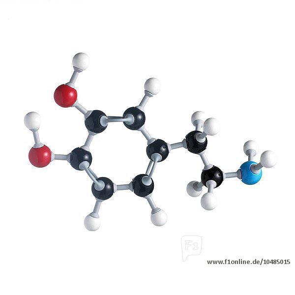Molekül des Neurotransmitters Dopamin. Die Atome werden als Kugeln dargestellt und sind farblich gekennzeichnet: Kohlenstoff (schwarz)  Wasserstoff (weiß)  Stickstoff (blau) und Sauerstoff (rot). Dopamin-Neurotransmitter-Molekül