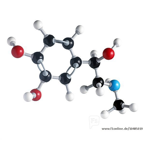 Adrenalin-Molekül. Die Atome sind als Kugeln dargestellt und farblich kodiert: Kohlenstoff (schwarz)  Wasserstoff (weiß)  Stickstoff (blau) und Sauerstoff (rot). Adrenalin-Molekül