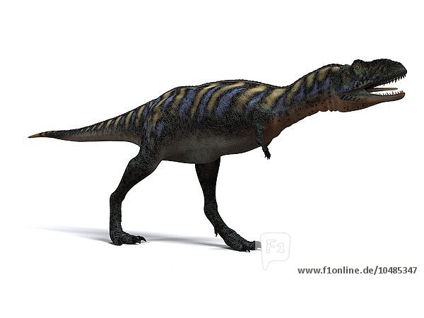 Aucasaurus Dinosaurier. Computergrafik eines Aucasaurus  eines mittelgroßen Dinosauriers aus Argentinien  der in der späten Kreidezeit vor etwa 100 bis 65 Millionen Jahren lebte. Aucasaurus Dinosaurier  Kunstwerk