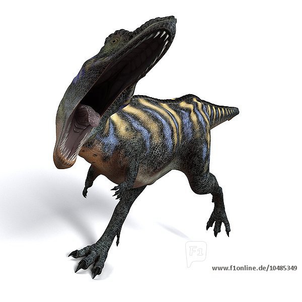 Aucasaurus Dinosaurier. Computergrafik eines Aucasaurus  eines mittelgroßen Dinosauriers aus Argentinien  der in der späten Kreidezeit vor etwa 100 bis 65 Millionen Jahren lebte. Aucasaurus Dinosaurier  Kunstwerk