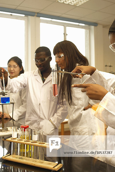 Wissenschaftler untersucht Reagenzglas im Labor