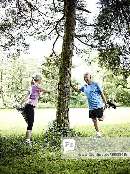 Older couple stretching against tree