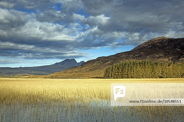 Panoramablick sonnige Sümpfe und Hügel  Loch Carron  Wester Ross  Schottland