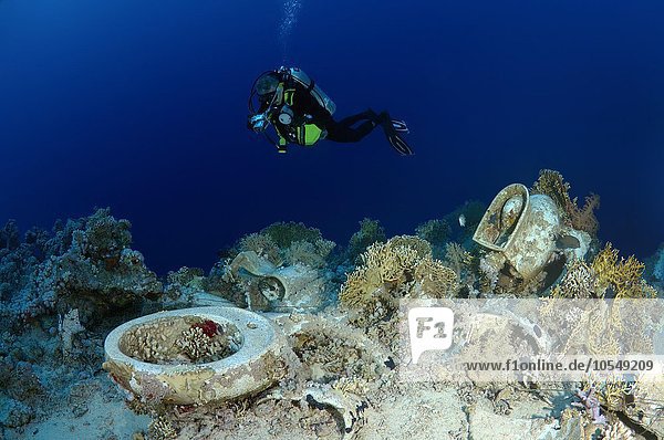 Diver looking at the plumbing on the shipwrecks in Ras Muhammad National Park  Sharm el-Sheikh  Red sea  Egypt  Africa