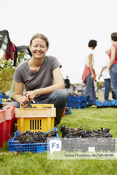 The owner of a vineyard  businesswoman and founder kneeling by the crates of harvested grapes at the end of the picking day.