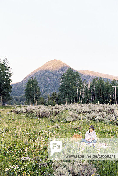 Woman having a picnic in a meadow  mountains in the distance.