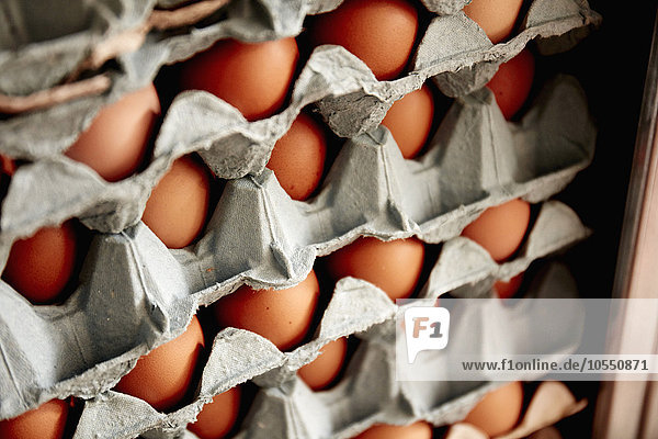 Schalen mit gestapelten Bio-Freilandhühnereiern  mit Eiern unterschiedlicher Größe und Farbe.