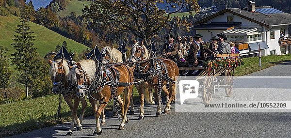 Leonhardiritt  horse procession  four-in-hand carriage  Hinterthiersee  Tyrol  Austria  Europe