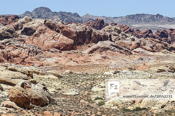 Ausblick auf farbige Sandsteinformationen  Valley of Fire State Park  Nevada  USA  Nordamerika