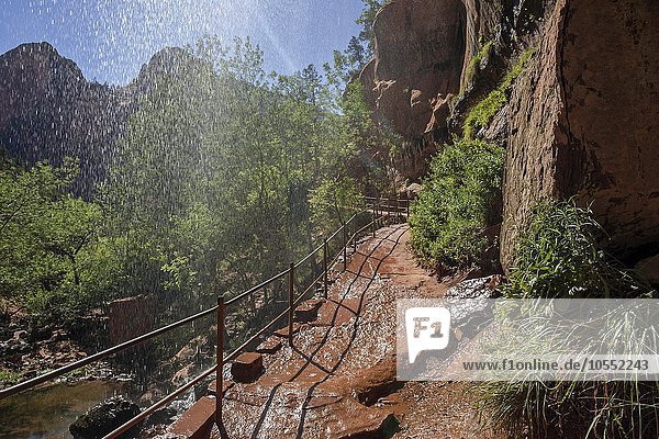 Wasser fällt über einen überhängenden Felsen  Emerald Pools Trail  Zion Nationalpark  Utah  USA  Nordamerika